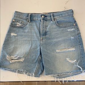 Everlane The Denim Long Walking short